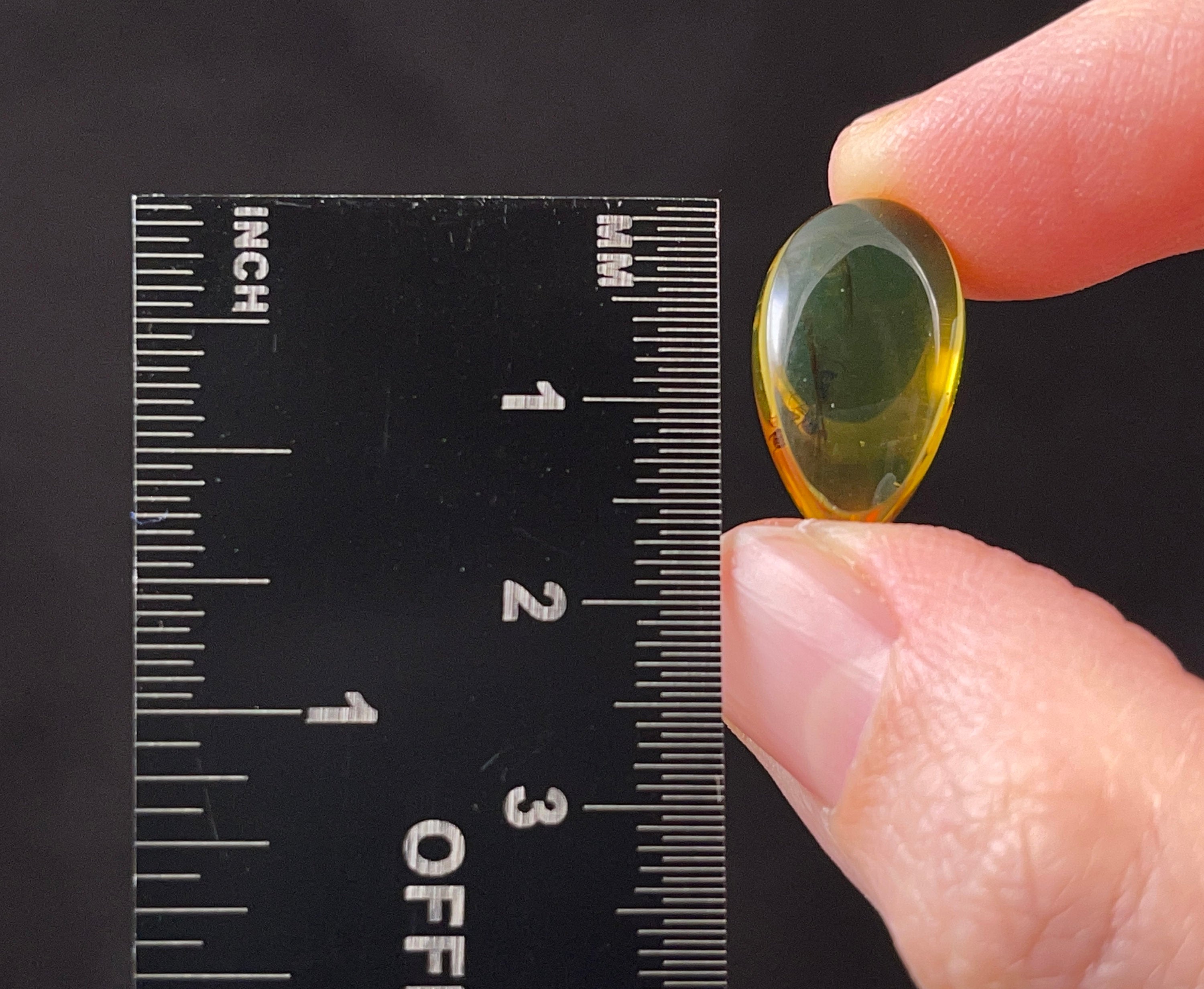 Real Fossil AMBER Stone with Insect Inclusion - Natural Tumbled Crystals & Healing Stones for Jewelry Making, Meditation & Home Decor (52762)