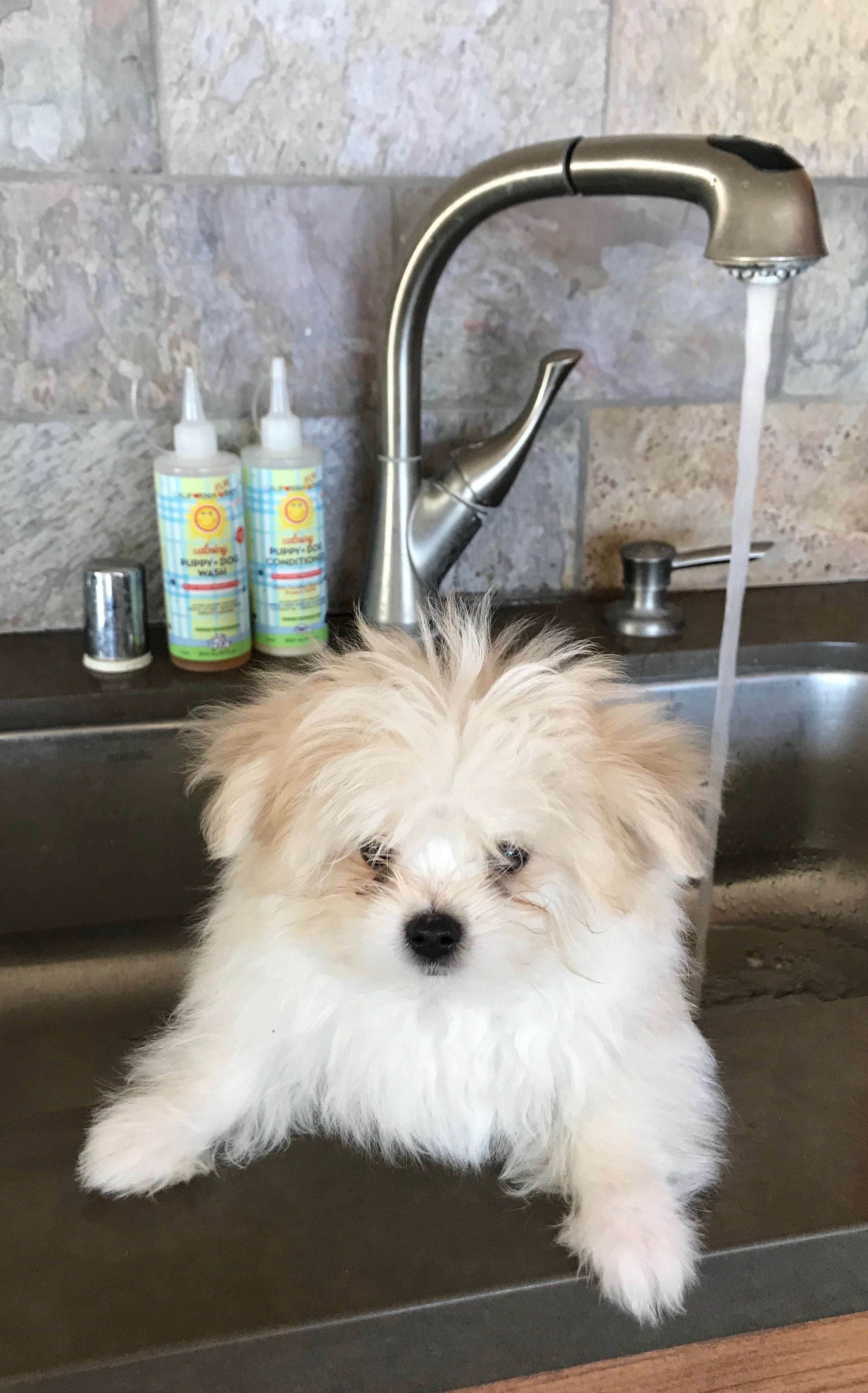 Calming Puppy & Dog Shampoo and Conditioner Set - Gentle Hypoallergenic Pet Wash for Sensitive Skin - Perfect for Bath Time & Grooming at Home