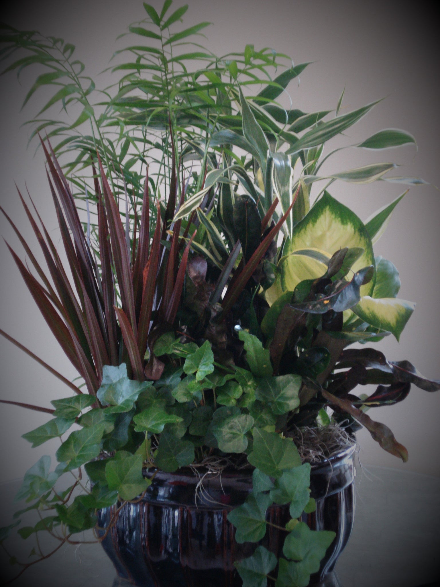 Decorative Planter Pots for Indoor Plants - Stylish Home & Office Decor for Succulents, Flowers & Herbs | Perfect for Living Room, Balcony & Garden