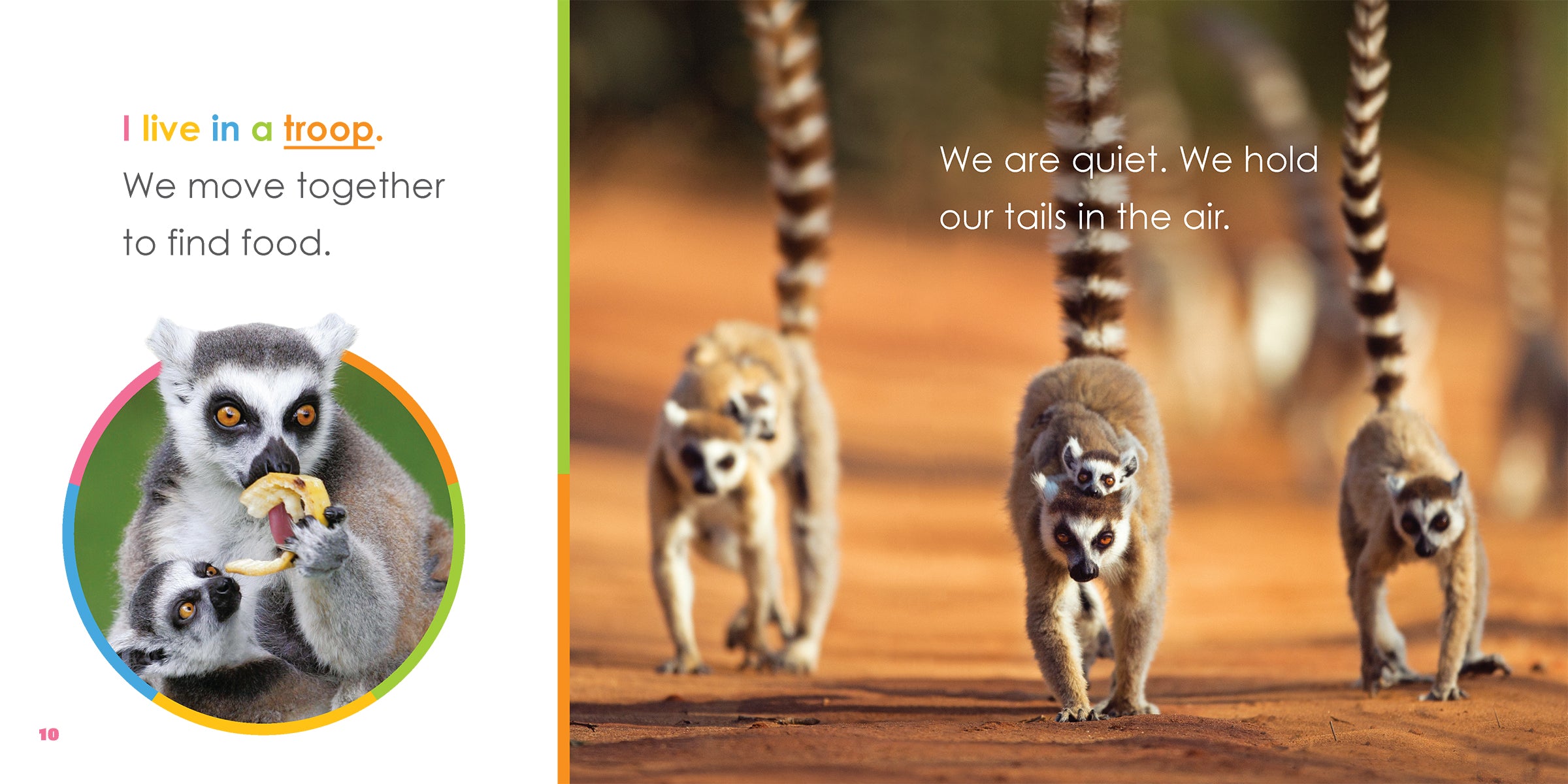 Baby Lemurs Book - ISBN 978-1-64026-349-9 | Educational Children's Animal Picture Book for Kids Learning About Wildlife