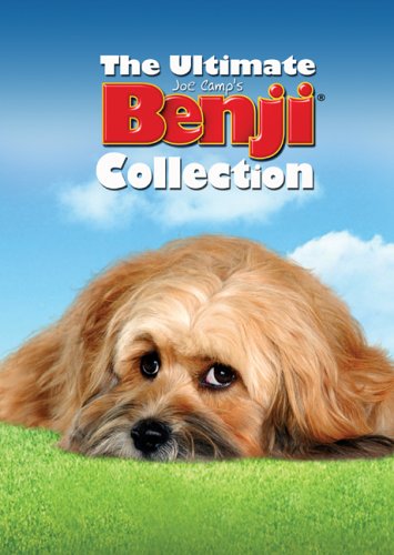 3PC BOX: The Ultimate Benji Co - Premium Storage Solution for Collectibles, Toys & Small Items | Perfect for Home, Office & Travel Organization