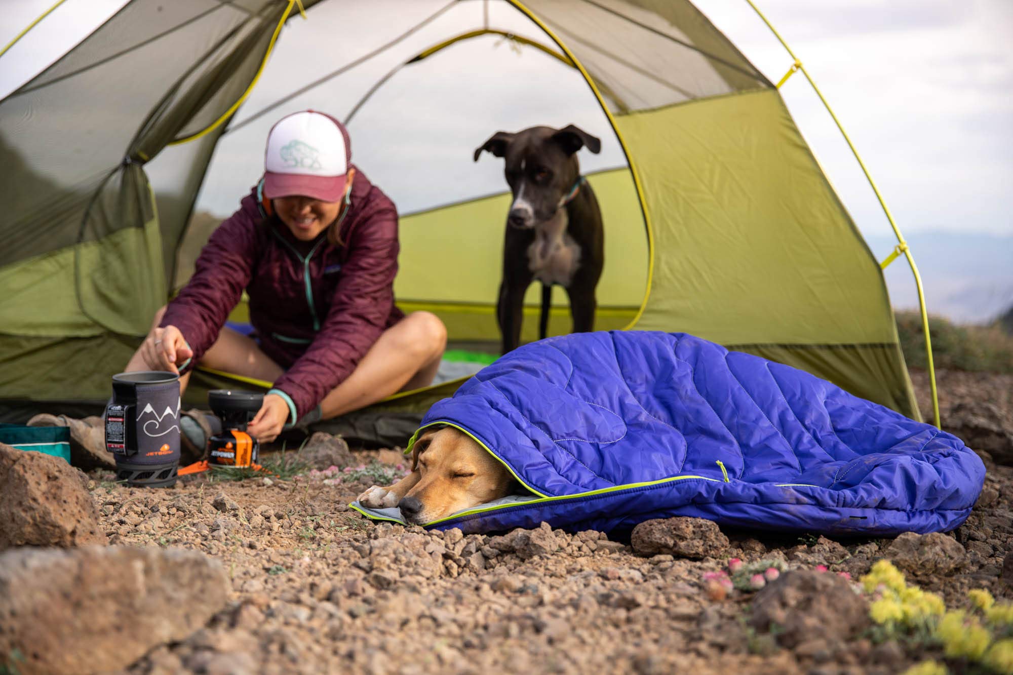 Ruffwear Highlands Dog Sleeping Bag - Water-Resistant Portable Dog Bed for Camping, Hiking & Outdoor Adventures - Cozy Travel Bed for Dogs