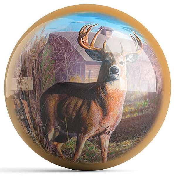 Kevin Daniel Back Forty Bucks Bowling Ball - High Performance Bowling Ball for Strikes & Spares | Perfect for League Play & Tournaments