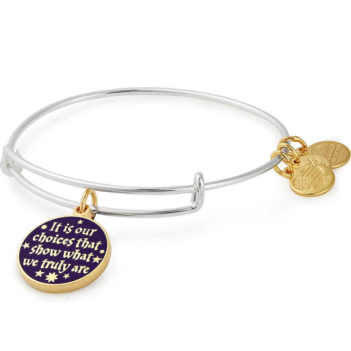 Harry Potter 'It's Our Choices' Charm Bangle - Official Wizarding World Jewelry for Fans & Collectors - Perfect for Cosplay, Gifts & Everyday Wear