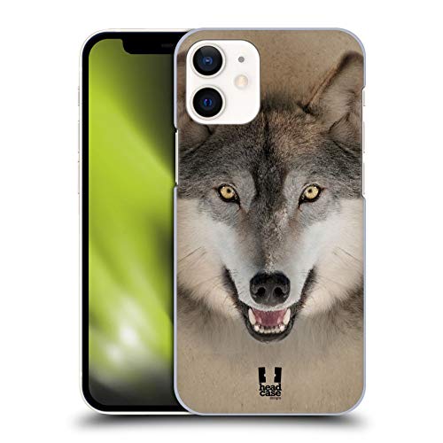 Grey Wolf