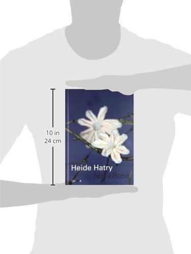 Heide Hatry: Not a Rose - Contemporary Art Book for Collectors | Perfect for Art Lovers, Gallery Displays & Home Decor