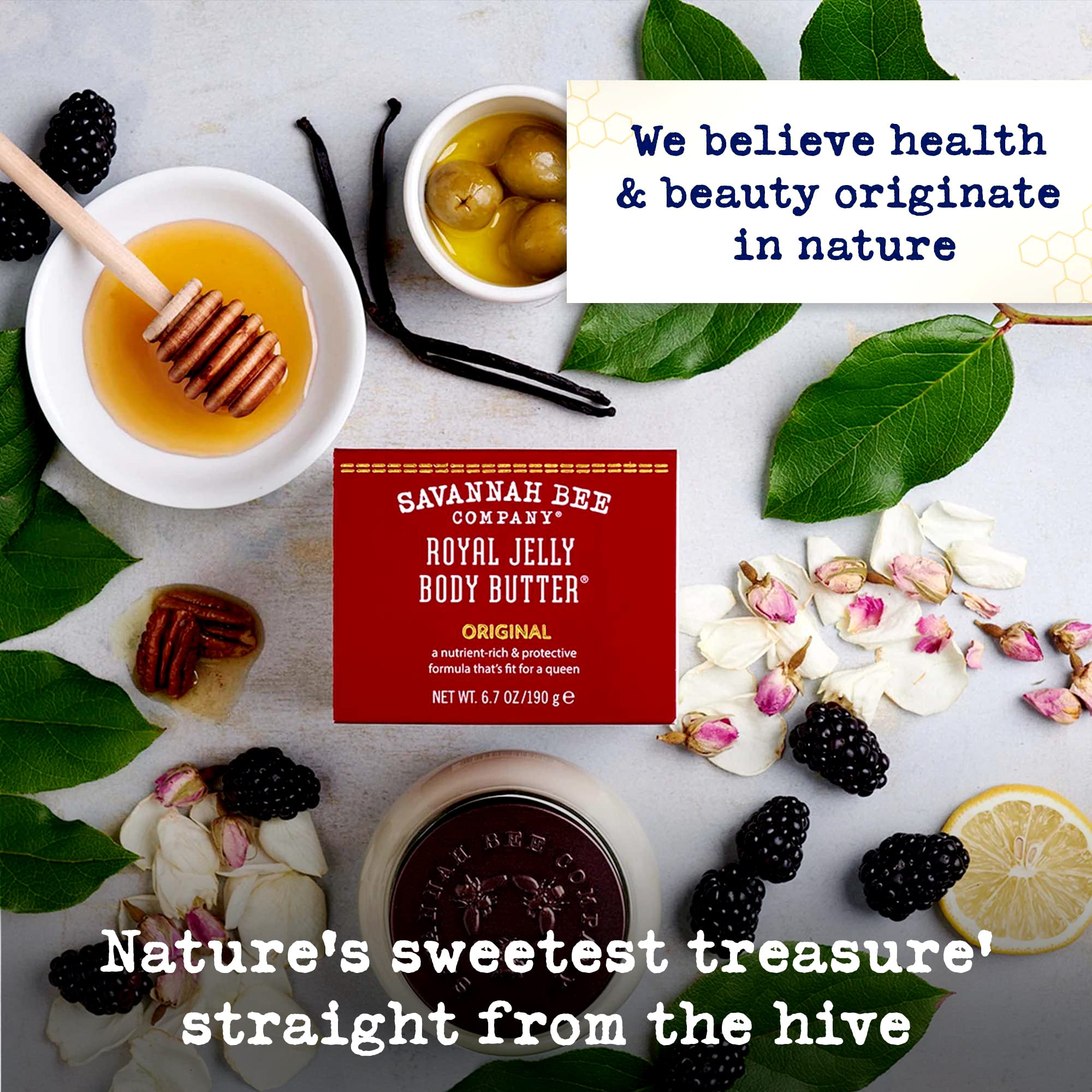Savannah Bee Company Royal Jelly Body Butter - Ultra Hydrating Moisturizer for Dry Skin | Nourishing Skincare for Face & Body | Perfect for Winter Care & Daily Hydration