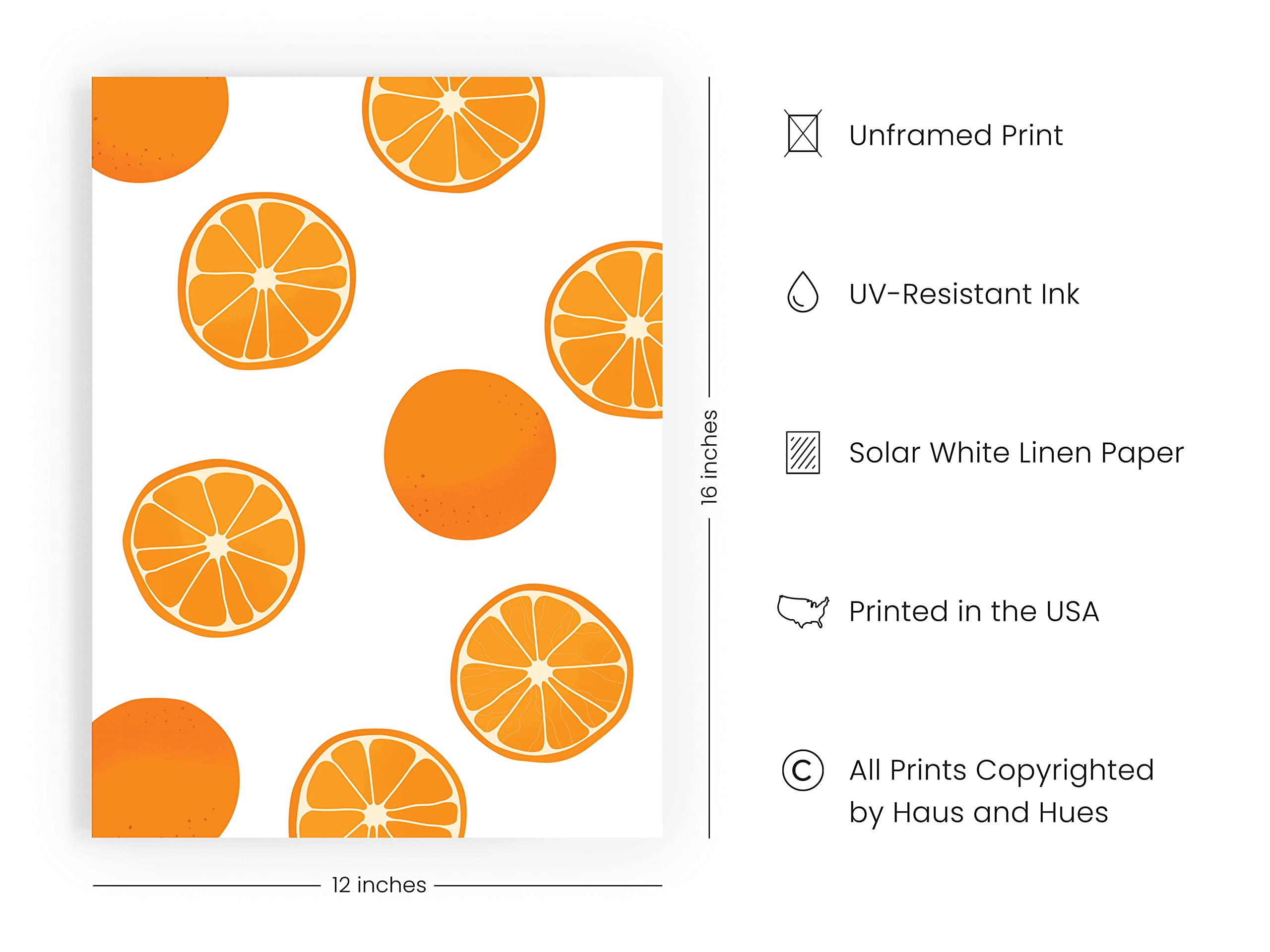 HAUS AND HUES Orange Fruit Wall Art Print - 12