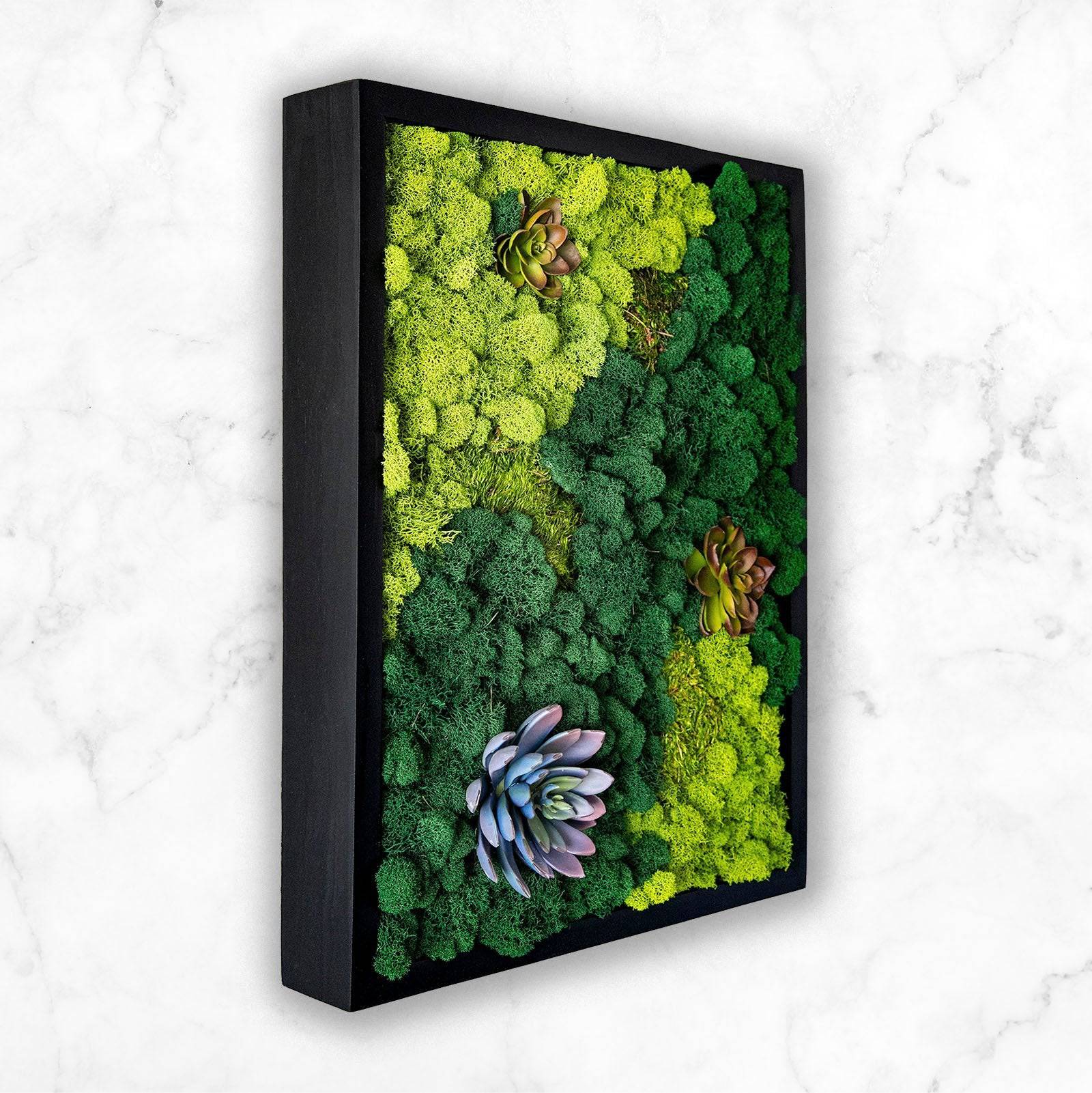 Preserved Mood & Pillow Moss Wall Art - Natural Home Decor for Living Room, Bedroom & Office - Eco-Friendly Botanical Art for Modern Spaces