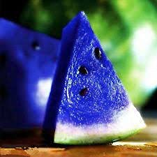 Elwyn Fresh 20 Pack Blue Watermelon Seeds for Planting - Grow Sweet Juicy Fruits in Home Garden, Backyard or Greenhouse