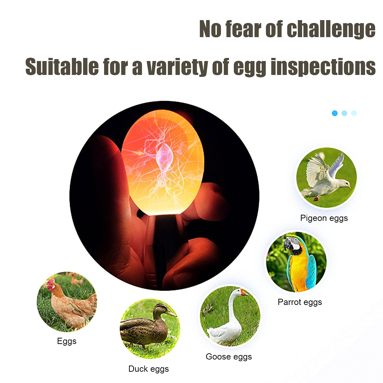 2025 Upgraded Egg Candler with Charger - Battery Powered Egg Incubator Light for Chicken, Quail, Canary & Pigeon Eggs | Includes Egg Candling Guide | Perfect for Poultry Farming, Hatching & Breeding