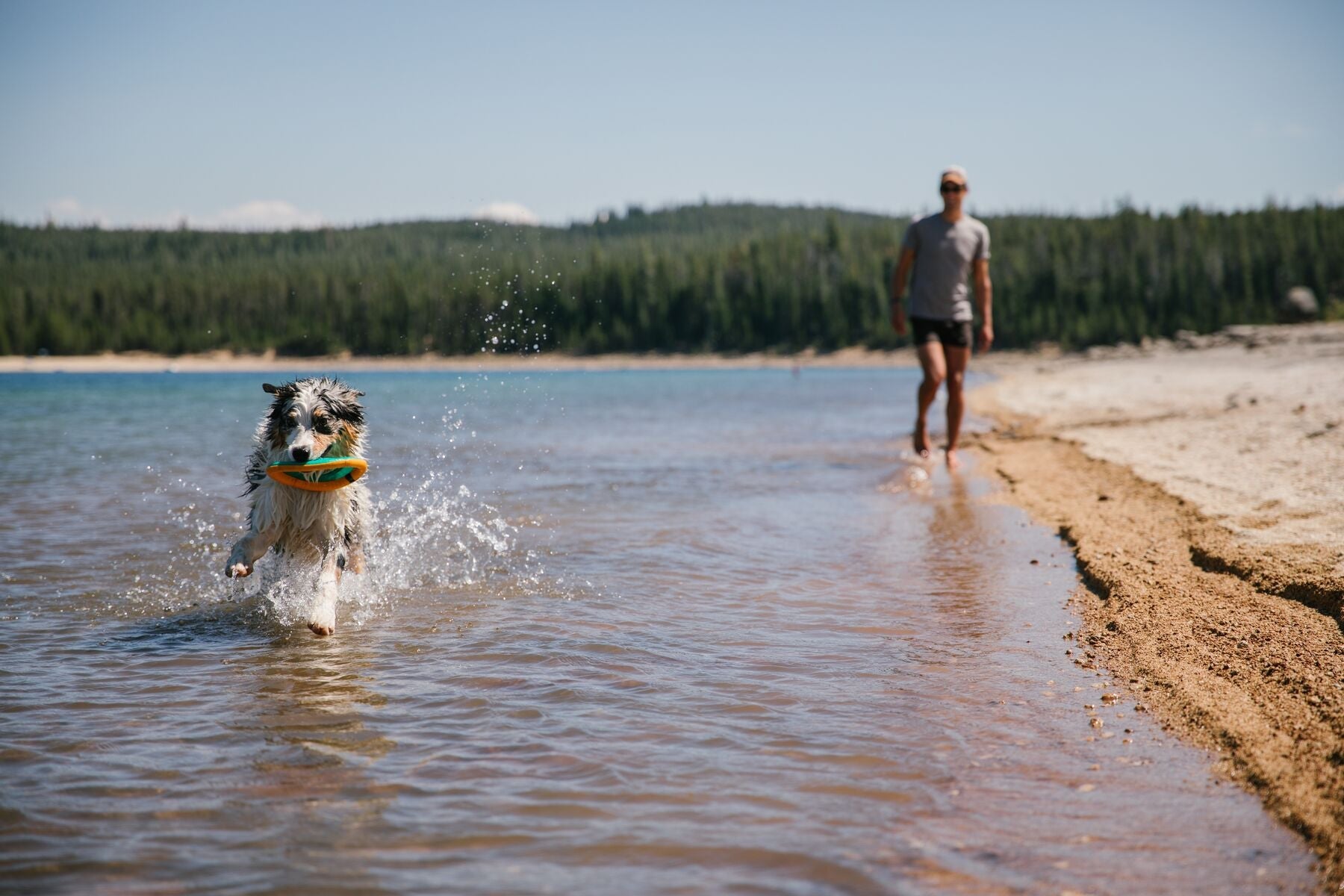Ruffwear Hydro Plane™ Floating Dog Disc Toy - Tangelo Orange, Waterproof & Durable for Pool, Beach & Outdoor Play - Perfect for Fetch Games with Dogs