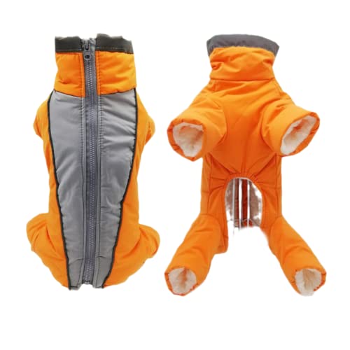 boy orange
