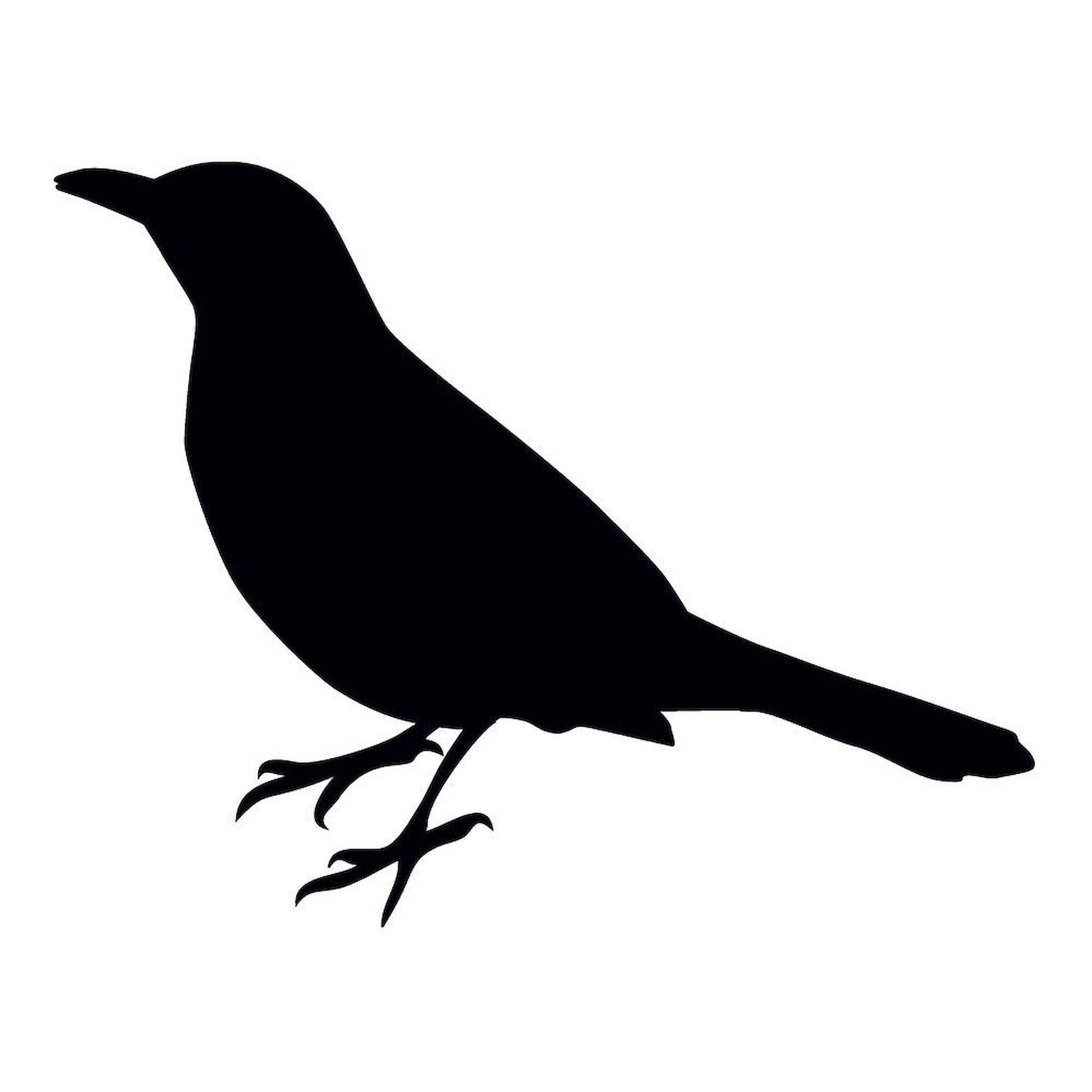 Blackbird Silhouette Ceramic Coffee Mug 11 oz (325 ml) - Perfect for Home, Office & Gifts - CafePress