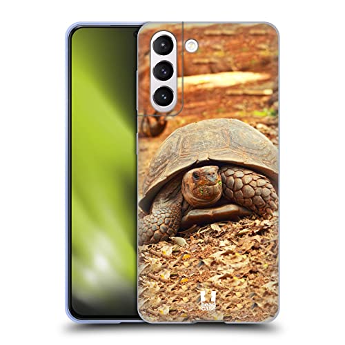 Crawling Tortoise