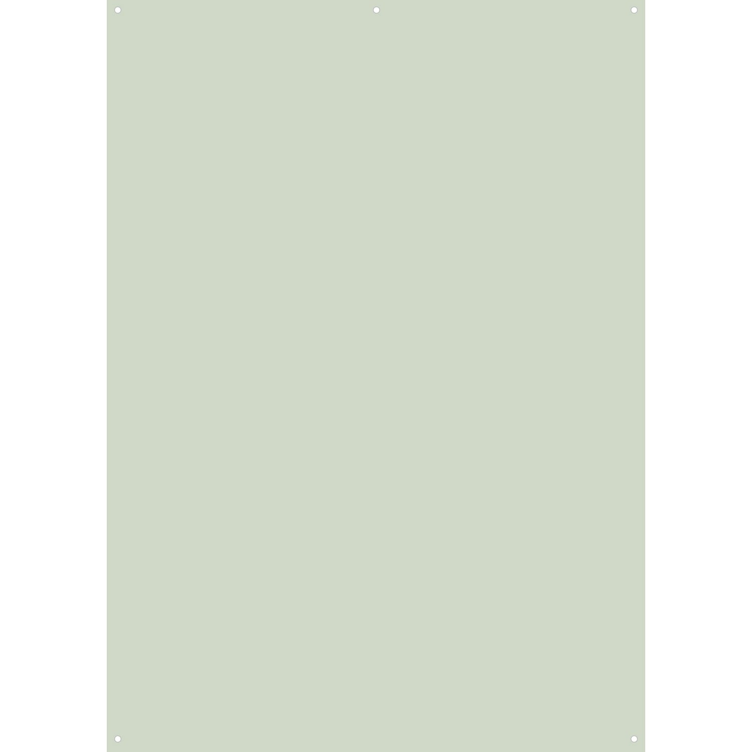 X Drop Vinyl Backdrop – Light Green Solid Color (5' x 7') | Photography Background, Video Shoot Studio Backdrop, Party Decor, Event Decoration