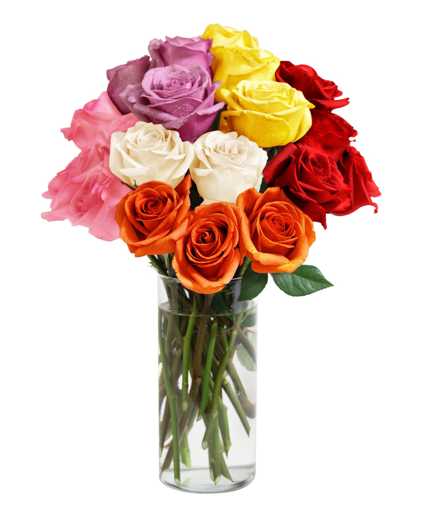 KaBloom PRIME NEXT DAY DELIVERY - Premium Rainbow Roses (24 Stems) with Glass Vase - Perfect Gift for Mother's Day, Birthday, Anniversary, Valentine's Day, Sympathy, Get Well & Thank You - Fresh Cut Flowers for Home Decor, Wedding Centerpieces & Special Occasions