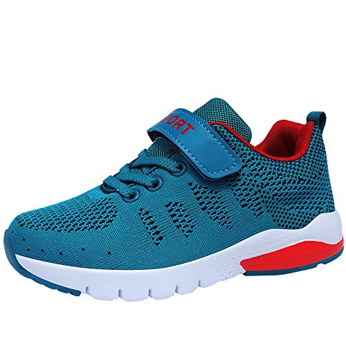 Peacock Blue&red