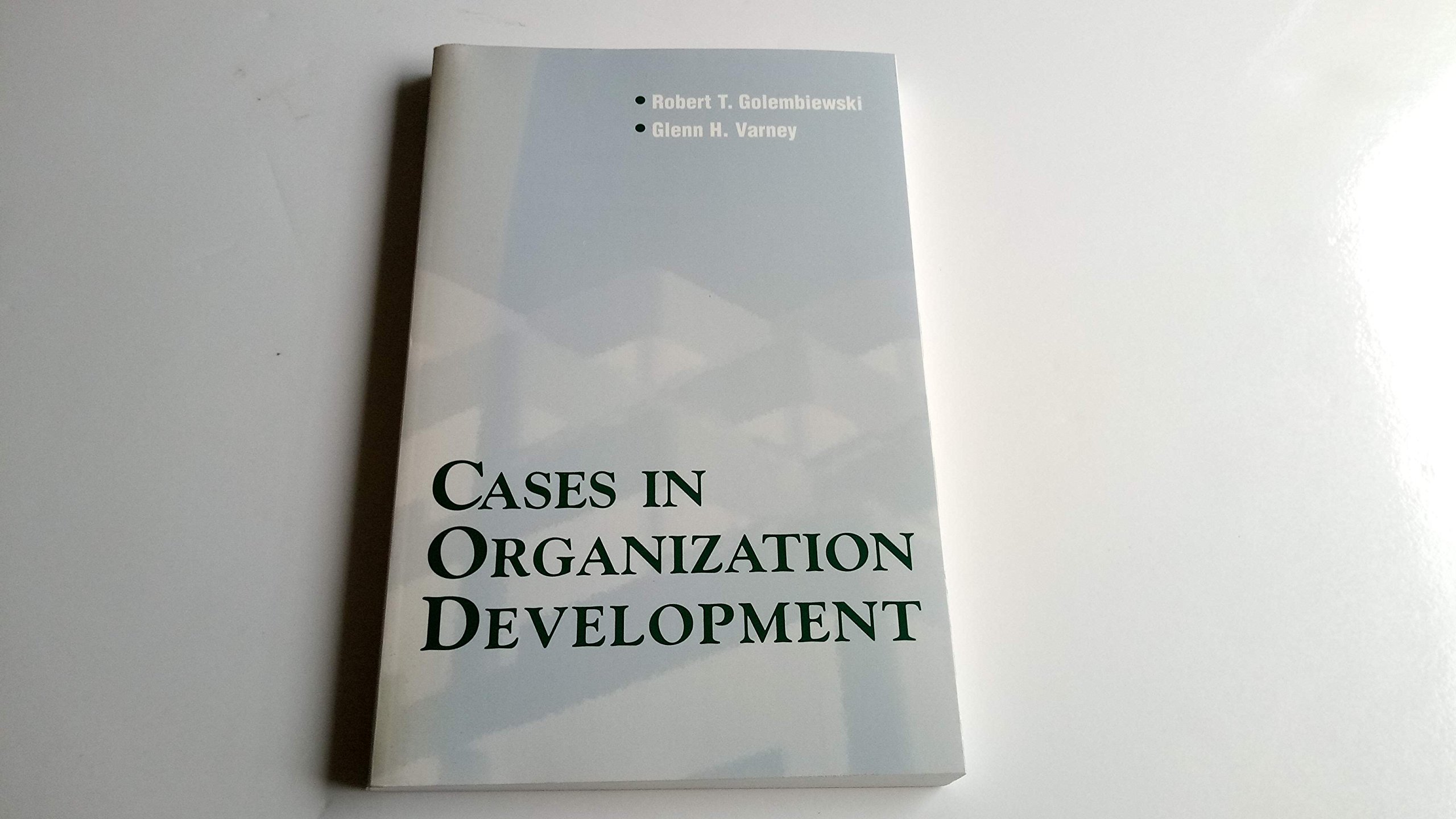 Cases in Organization Development: Strategies for Effective Business Transformation in Corporate and Nonprofit Settings