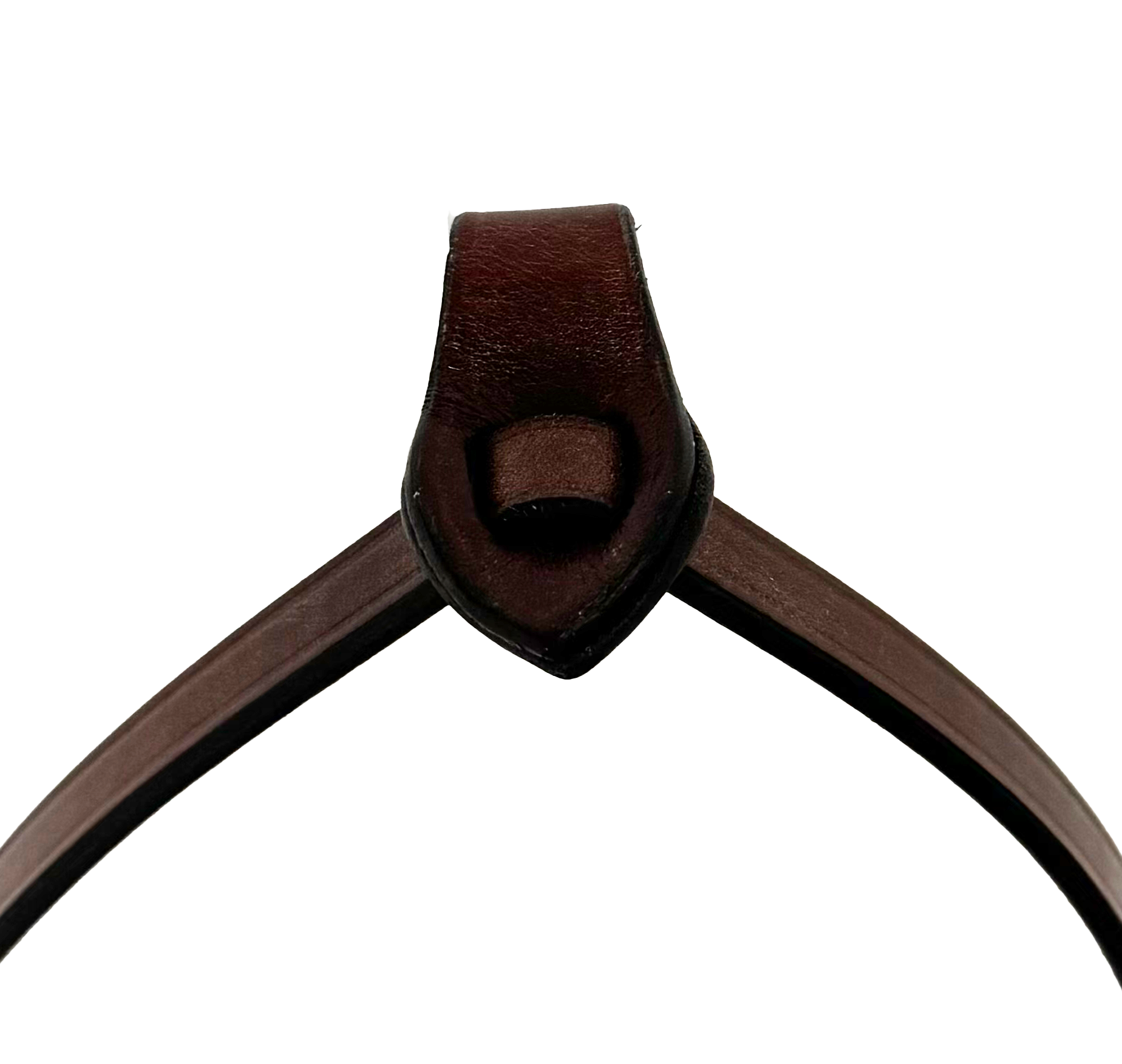 AJR Hunter Bridle Flash Attachment - Horse Riding Equipment for English Equestrian & Show Jumping | Perfect for Training, Competitions & Stable Use