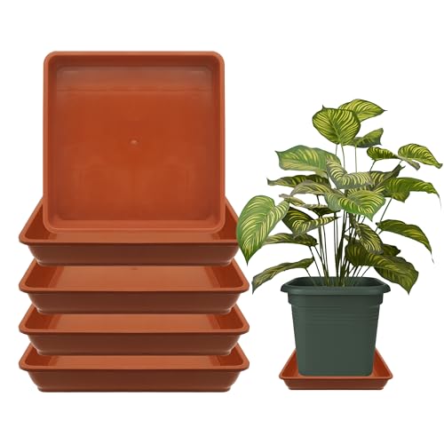 Terracotta