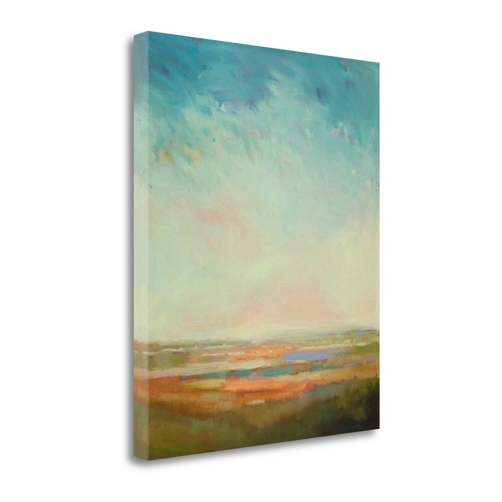 William McCarthy 'A Bit of Orange' Fine Art Giclée Print on Gallery Wrap Canvas - Ready to Hang Wall Decor for Living Room, Bedroom & Office