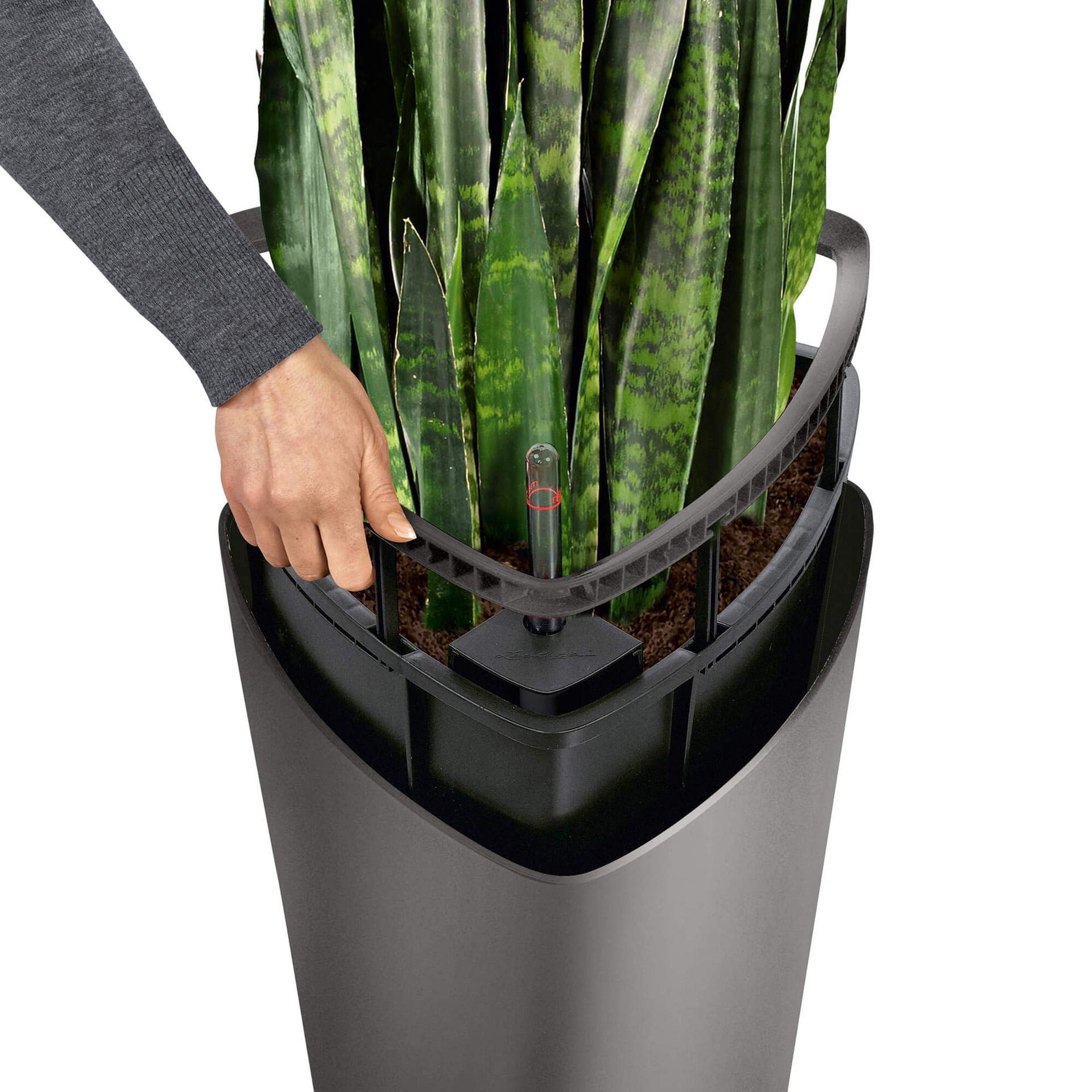 Lechuza Delta 30 Self-Watering Planter - 11.8