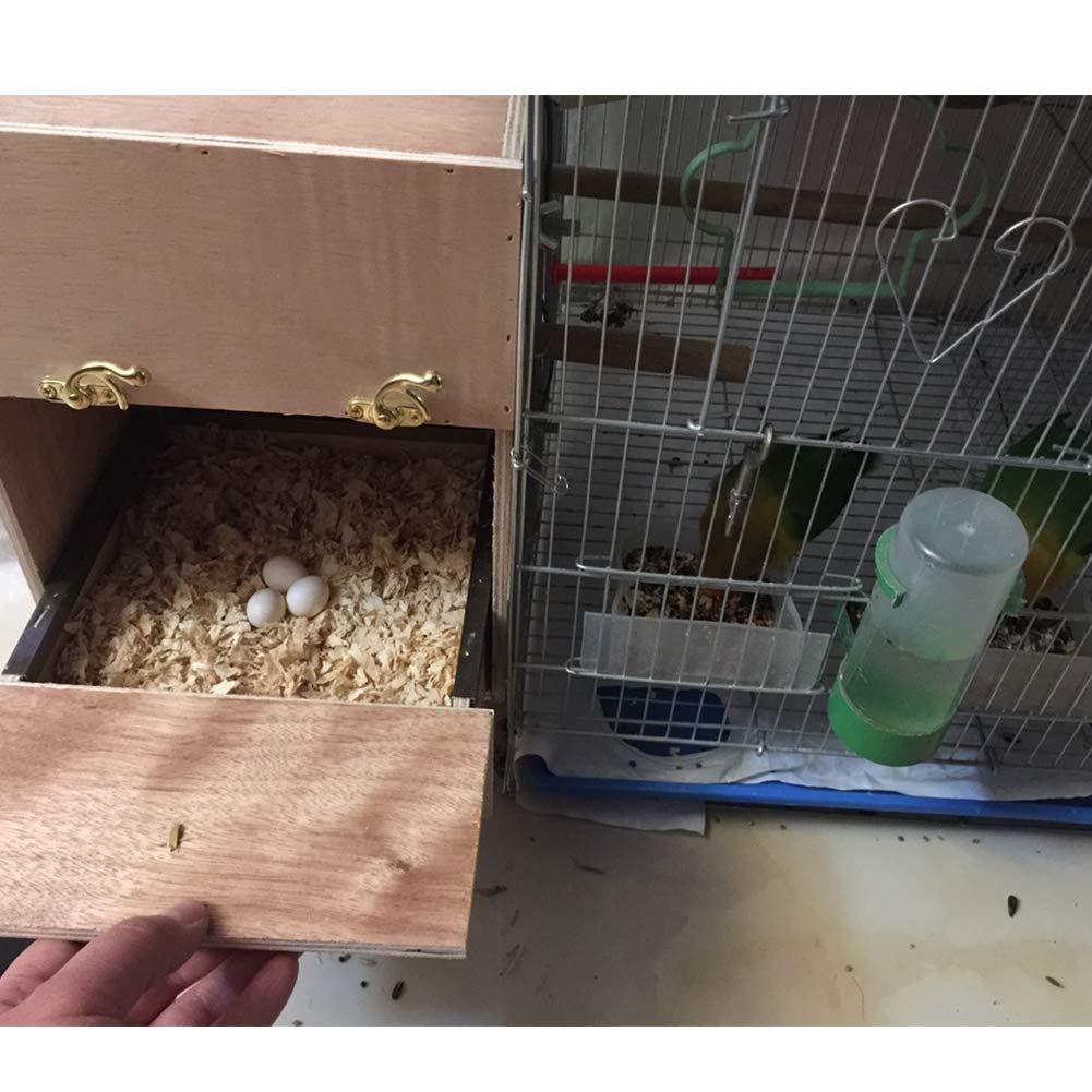 Wooden Bird Breeding Box for Parakeets, Budgies, Lovebirds & Finches - 10 Inch Right-Side Nesting House with Perch | Perfect for Mating, Egg-Laying & Raising Chicks in Cages or Aviaries