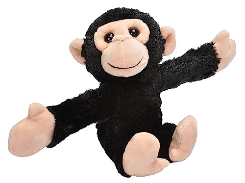 Chimp