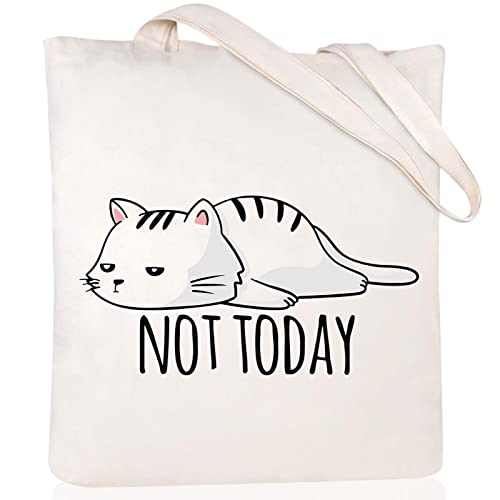 Black Cat_not Today
