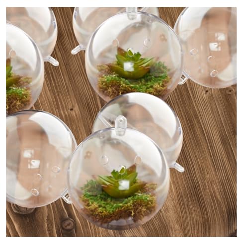 12 Terrarium – 80mm