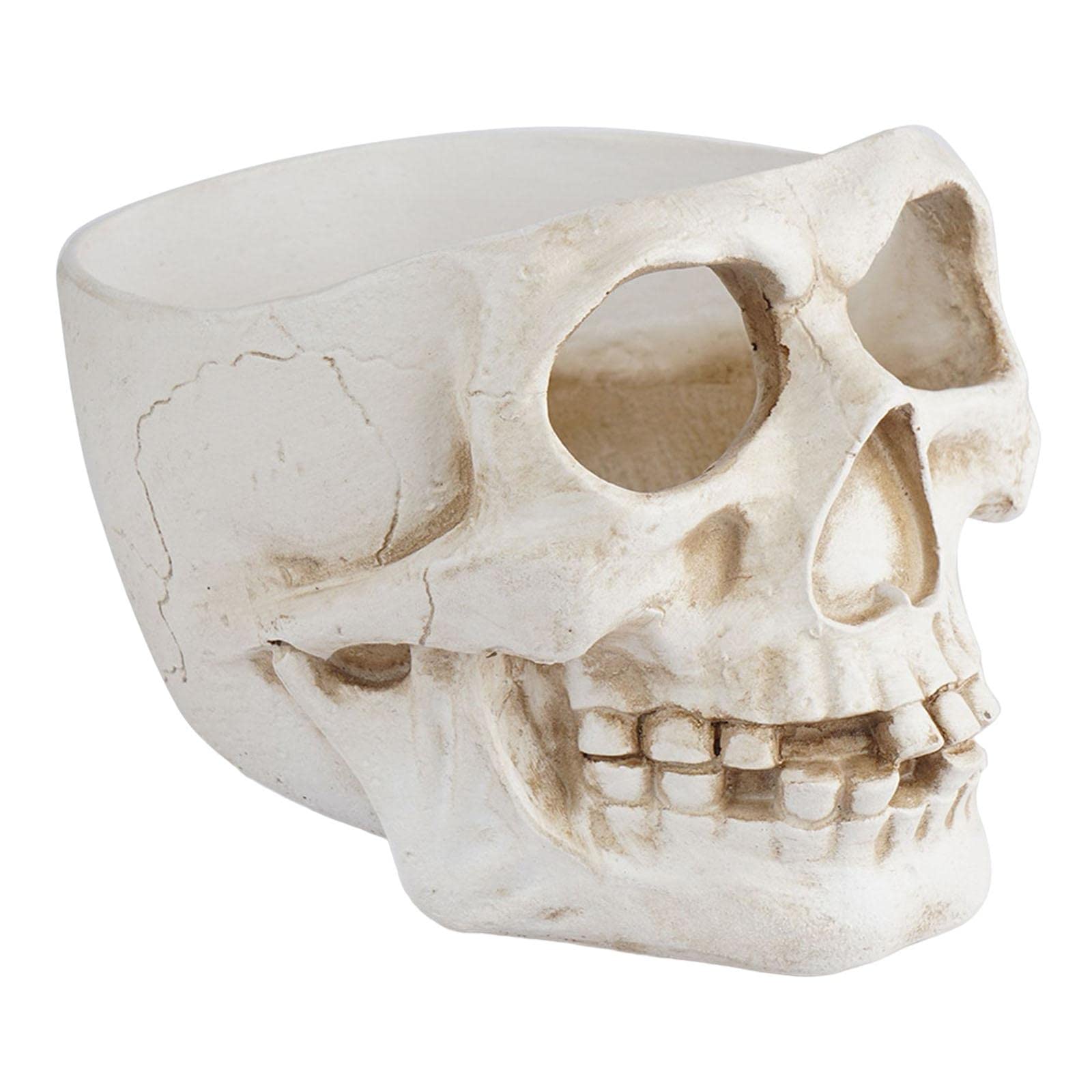 Baoblaze Succulent Planter Pot - Resin Skull Head Flower Pot with Drainage Hole, Halloween Skeleton Sculpture Decor for Home, Office, Garden & Party Decoration | Perfect for Halloween, Gothic Decor & Plant Lovers