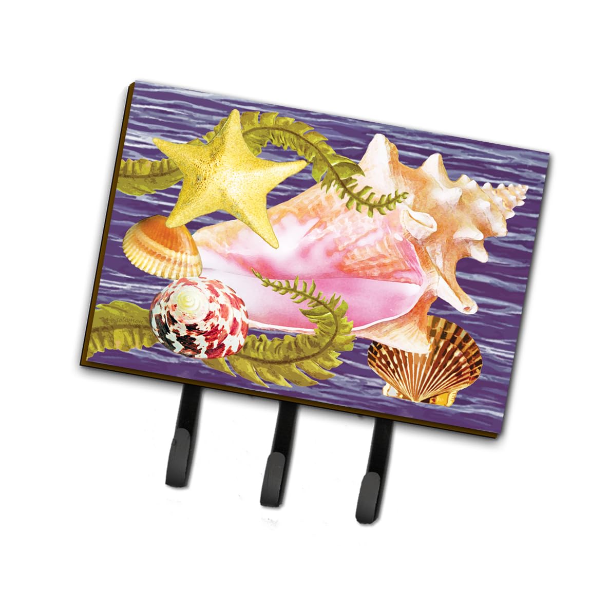 Caroline's Treasures PRS4058TH68 Conch and Starfish Wall Hook - Key Holder, Coat Rack, Towel Hanger - Perfect for Entryway, Bathroom, Kitchen Organization (Wall Mount)