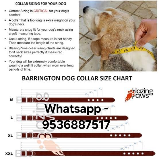 Elegant Pet Collar with Pearl & Crystal Beads - Adjustable Small Size for Cats & Dogs - Perfect for Special Occasions & Daily Walks