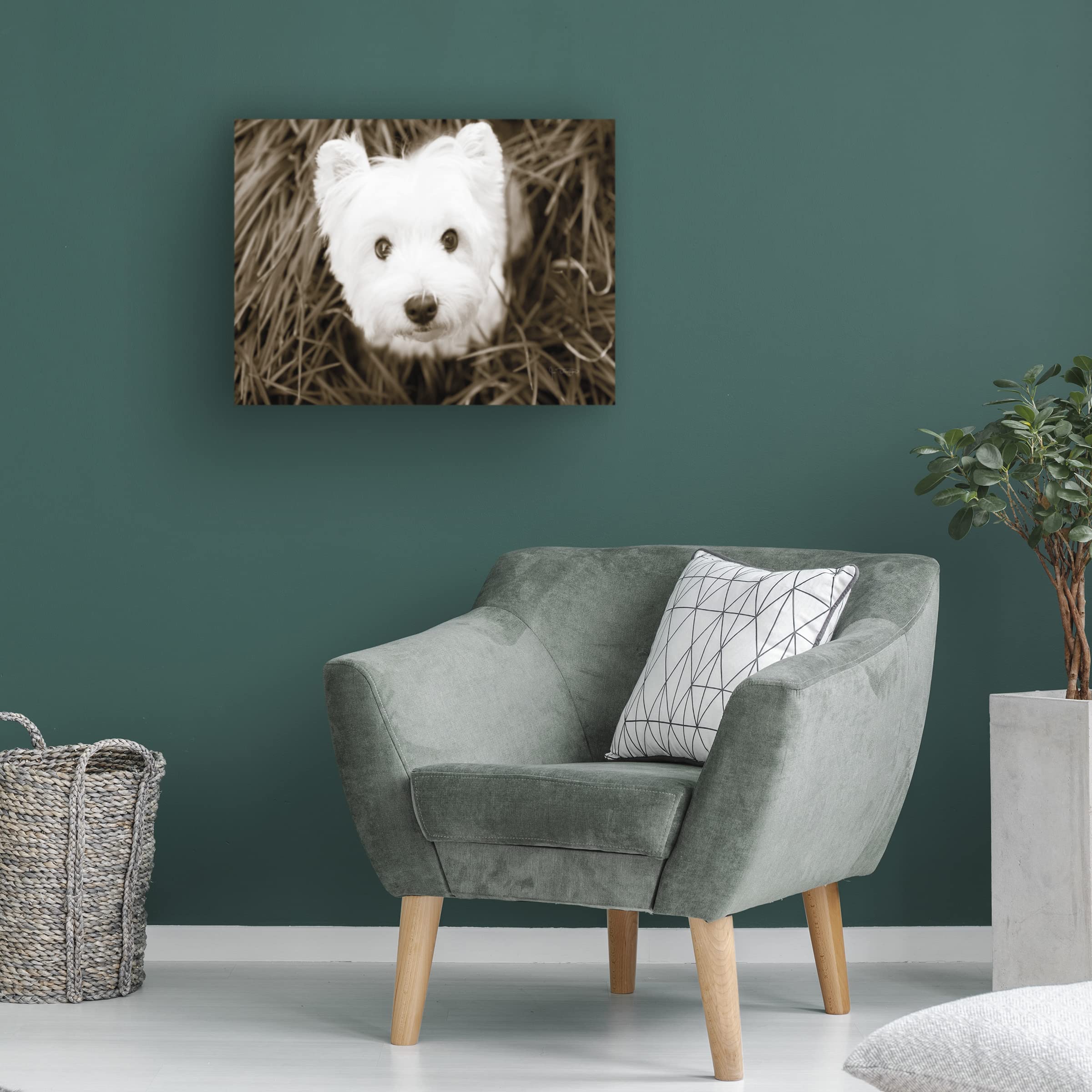 Debra Van Swearingen Butterfly Botanical IV Canvas Wall Art Print - Nature Inspired Floral Decor for Living Room, Bedroom & Office