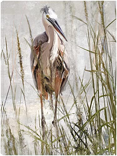 Blue Heron Portrait