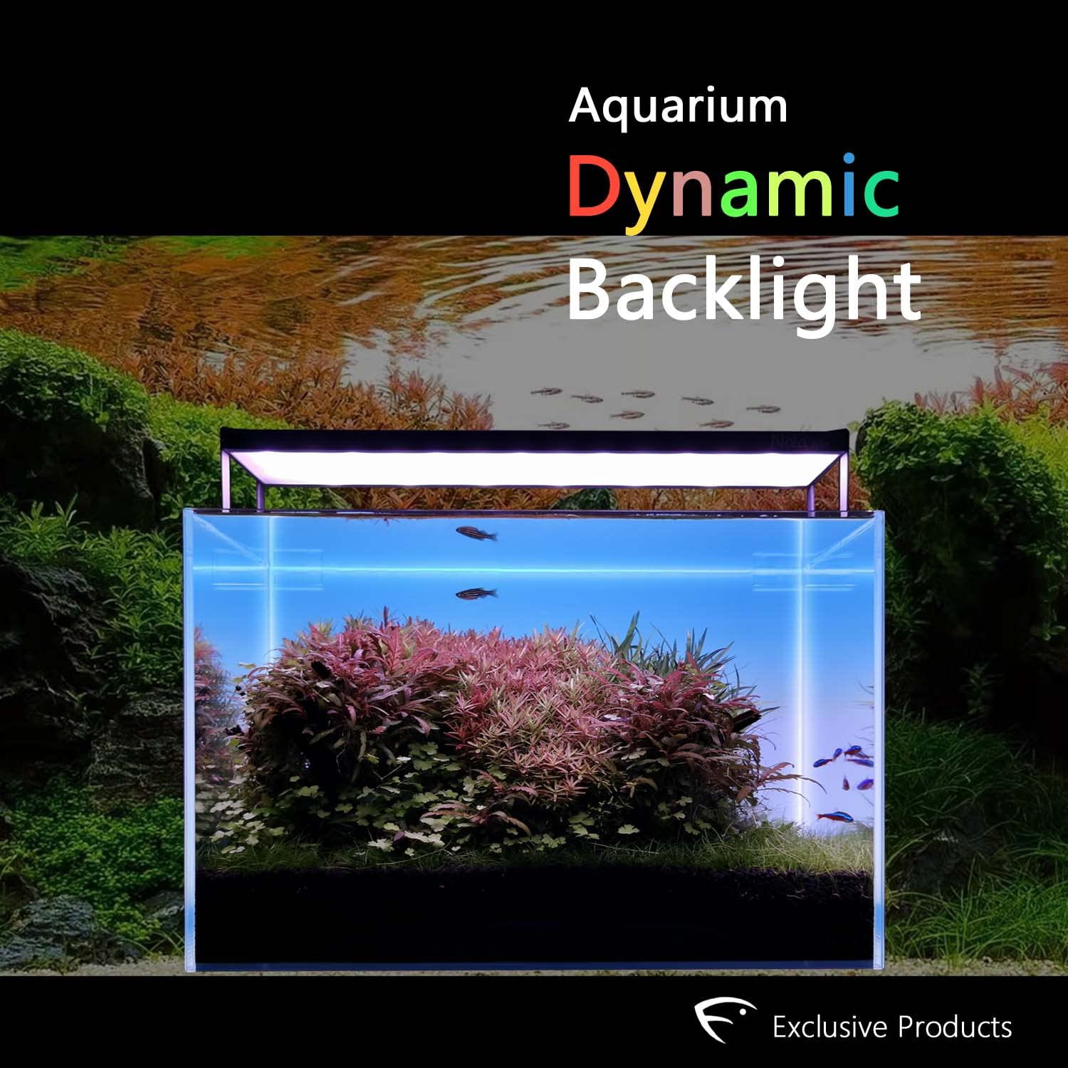 RGB Aquarium Backlight - Ultra-Thin 6mm Gradient Panel for Rimless Fish Tanks | Home Decor