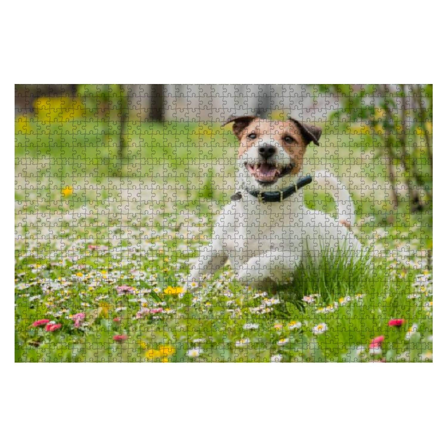 1000-Piece Wooden Jigsaw Puzzle - Spring Scene with Happy Dog Playing on Flowers in Green Grass | Educational Toy for Kids & Adults | Stress Relief Game | Perfect for Family Game Night & Classroom Activities