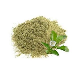 Organic Bhringraj Powder 100g - Pure & Natural Ayurvedic Hair Growth & Scalp Treatment - Promotes Healthy Hair, Reduces Hair Fall & Dandruff - Perfect for DIY Hair Masks & Ayurvedic Remedies