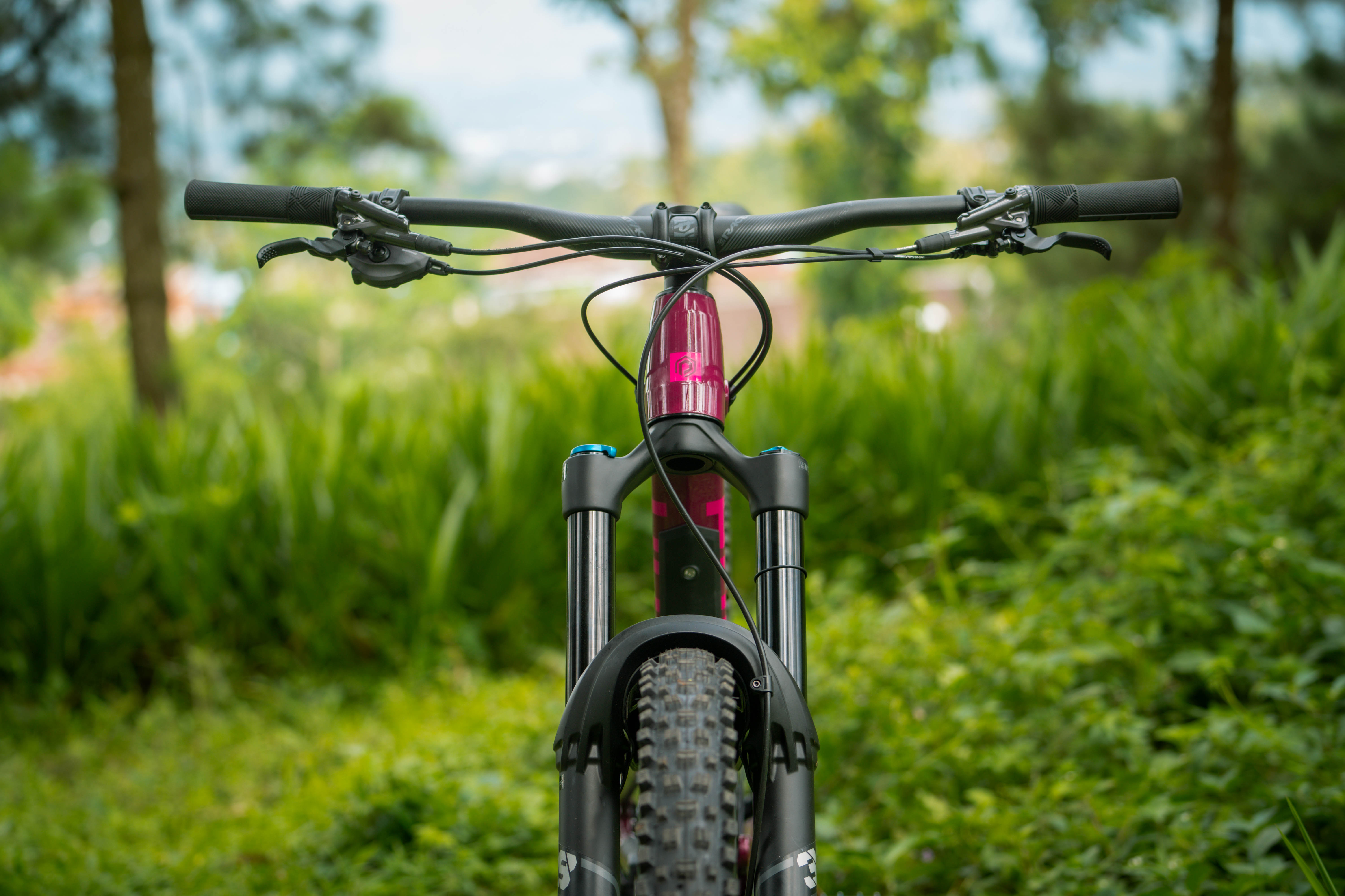 Polygon Collosus N9 Enduro Mountain Bike - 29