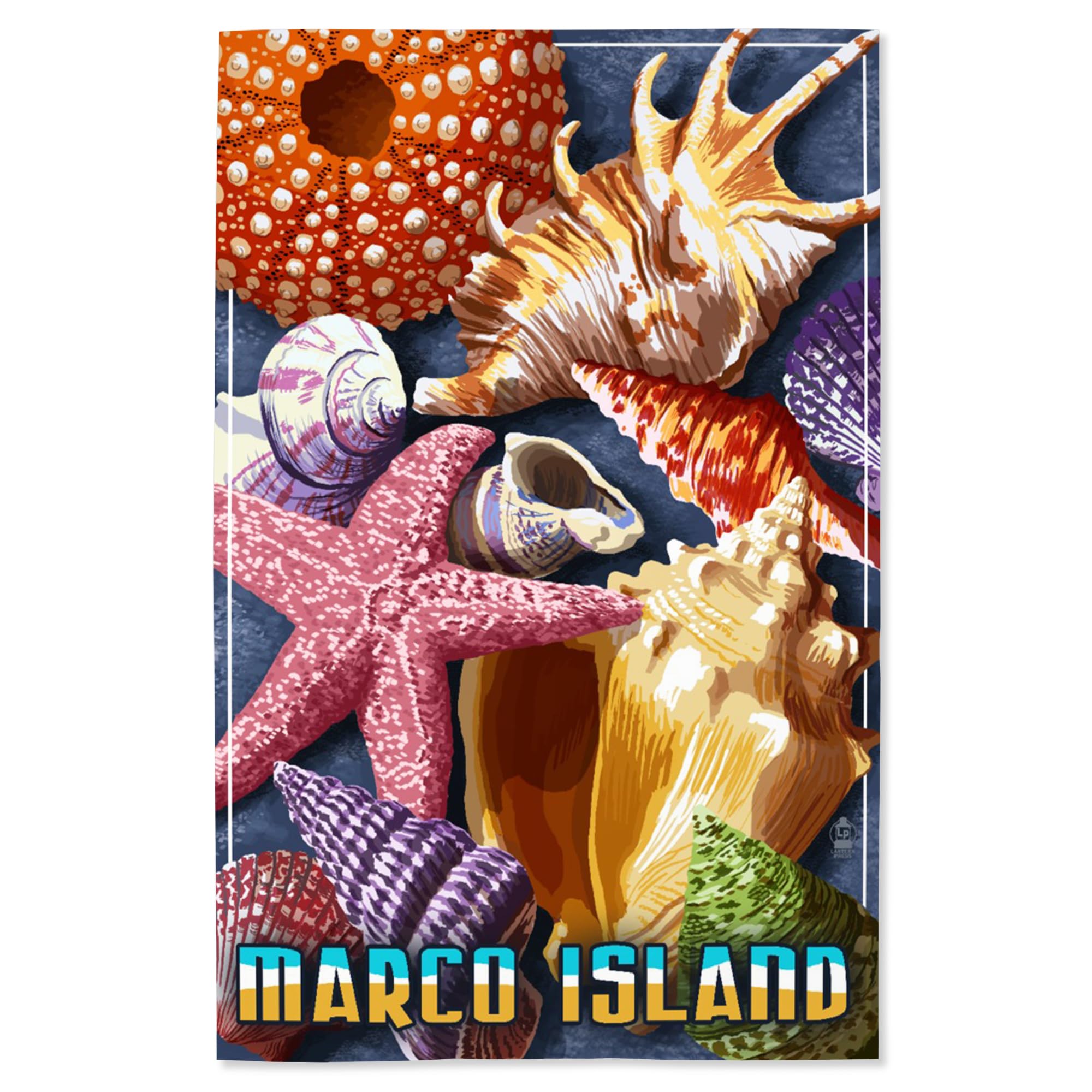 Lantern Press 16x24 Inch Giclee Art Print - Marco Island Shells Wall Decor | Coastal Beach House Decor, Living Room & Bedroom Wall Art