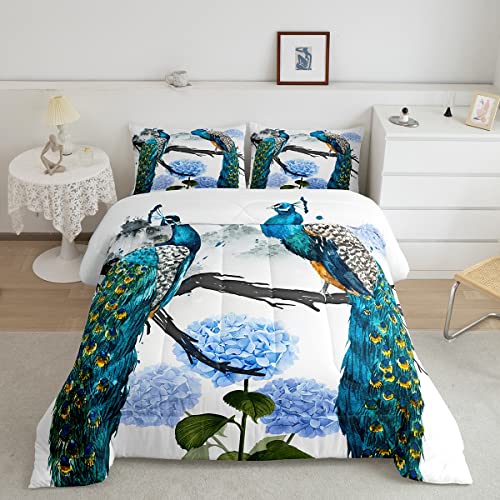 Peacock 01