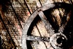 Wagon Wheel Riders