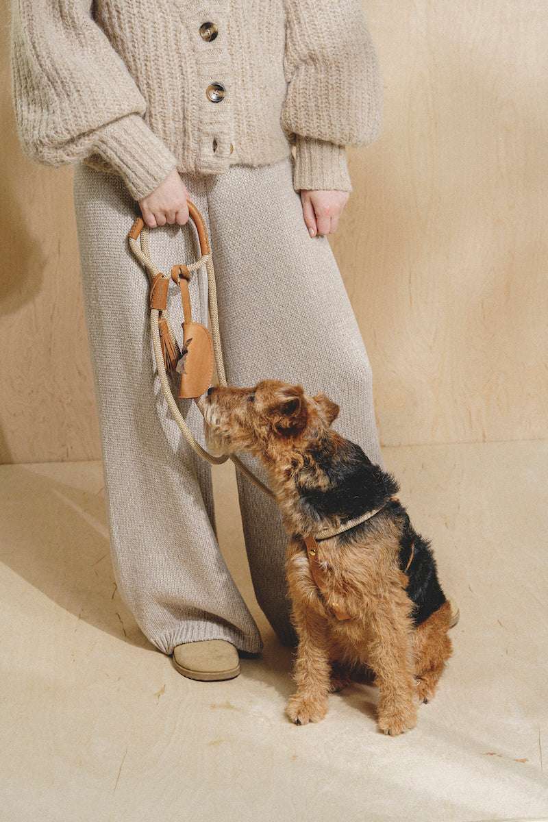 Premium Dog Leash - Lightweight Rope for Small to Medium Dogs - Durable & Comfortable for Walking, Training & Outdoor Adventures