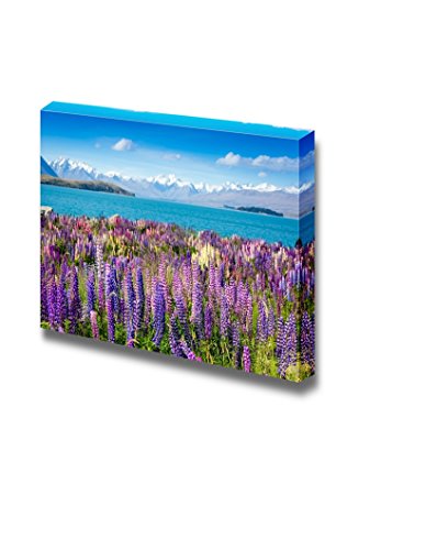 Blooming Flowers