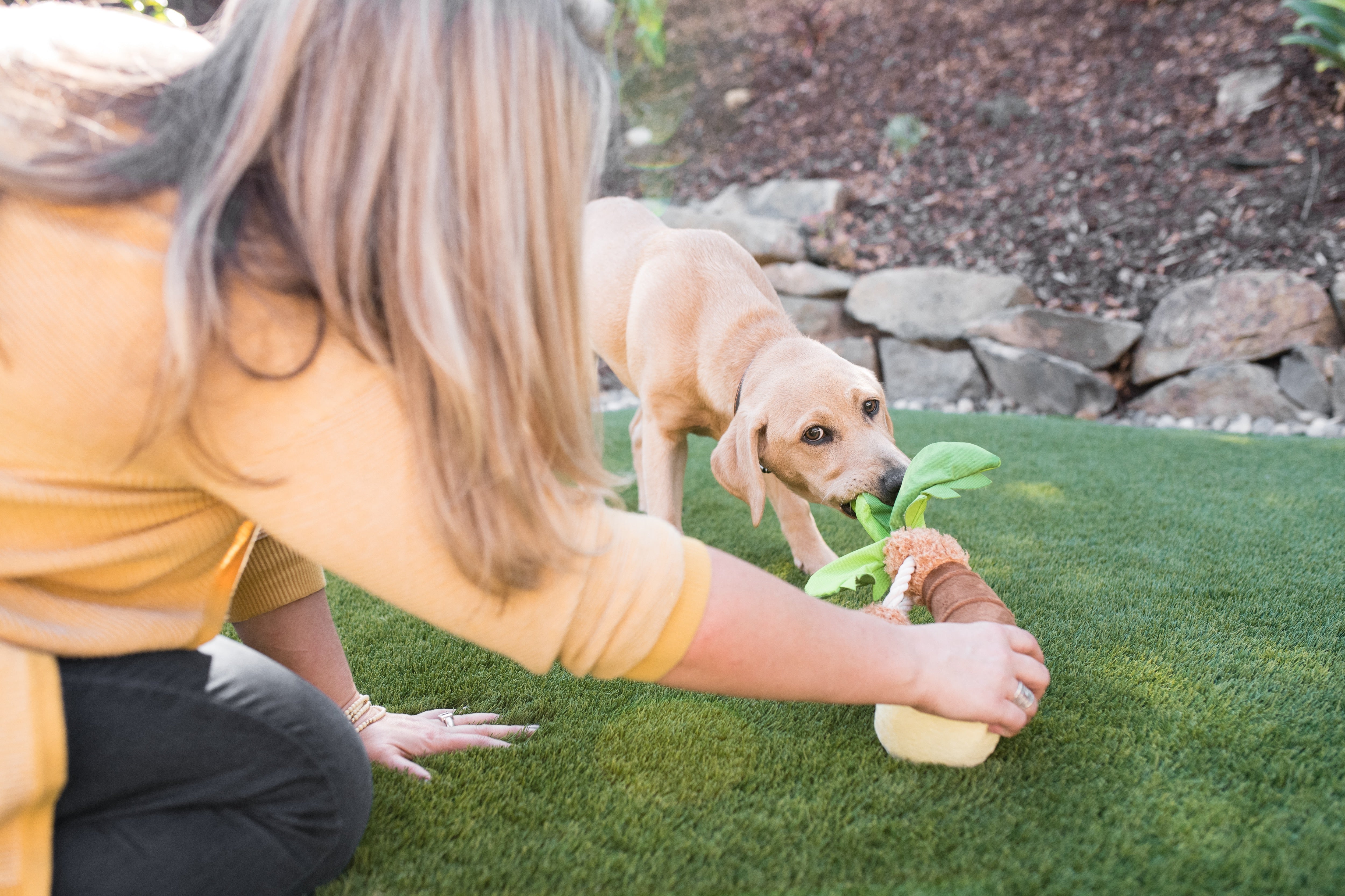 Tropical Paradise™ Dog Plush Toy - La Palma Soft Chew Toy for Dogs | Durable & Safe Pet Play | Perfect for Indoor & Outdoor Playtime