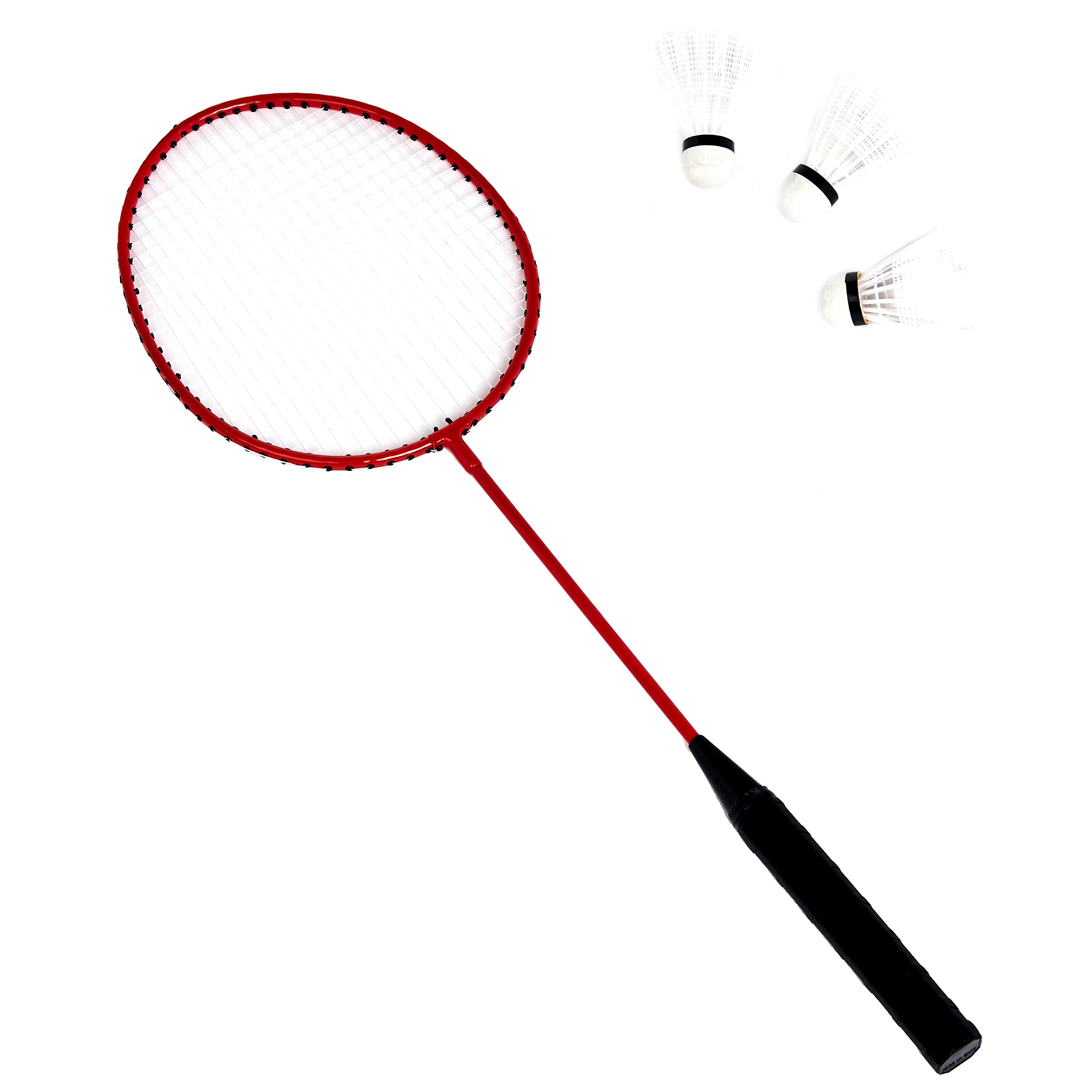 Amazon Basics Outdoor Volleyball and Badminton Combo Set with Net, Poles & Accessories - Perfect for Beach, Backyard, Park & Family Fun Activities