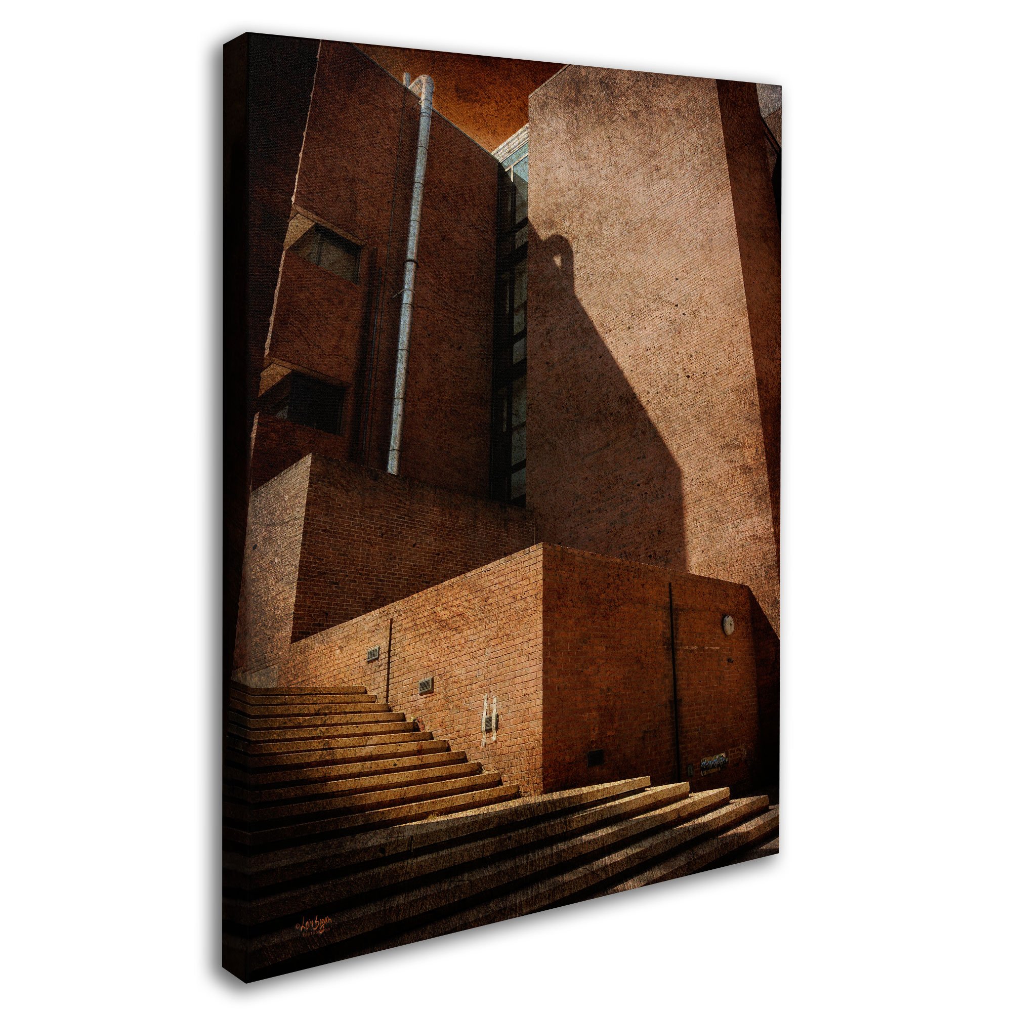 Trademark Fine Art Shadow and Light Canvas Wall Art by Lois Bryan, 14x19 Inches - Modern Home Decor for Living Room, Bedroom & Office