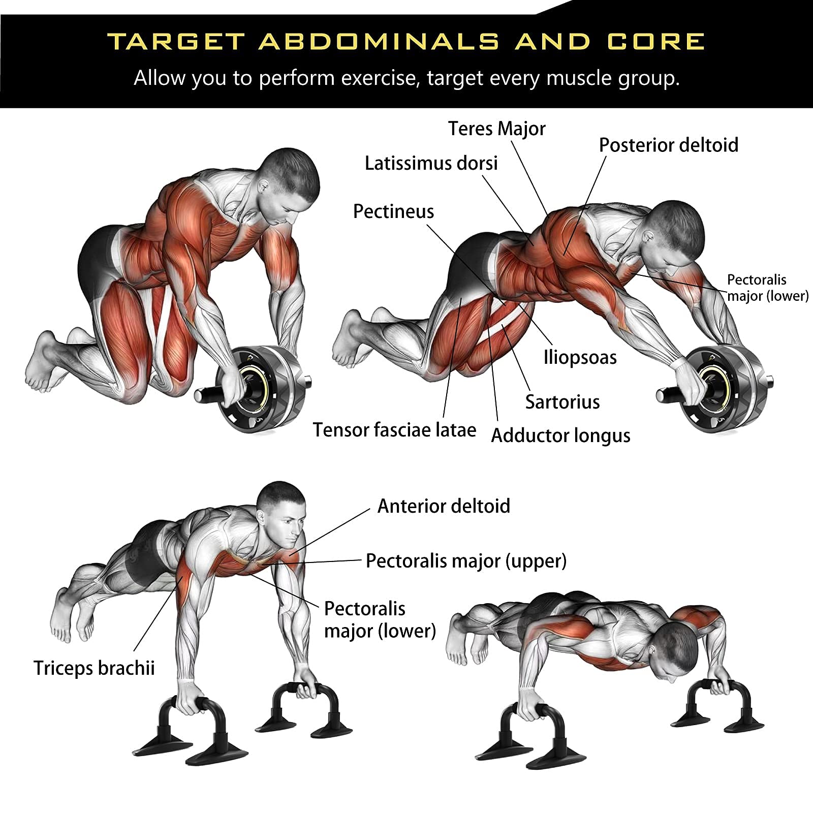 6-in-1 Ab Roller Wheel Kit with Knee Pads, Push-Up Bars & Resistance Bands - Home Gym Equipment for Core Workouts - Includes Workout Poster & Guide - Perfect for Men & Women's Abdominal Exercises at Home or Office