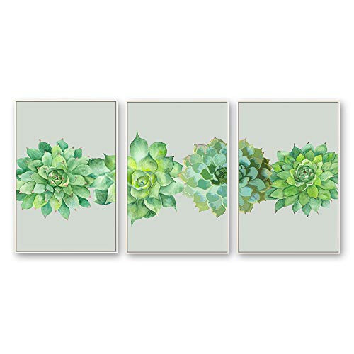 Plants-1909-n07